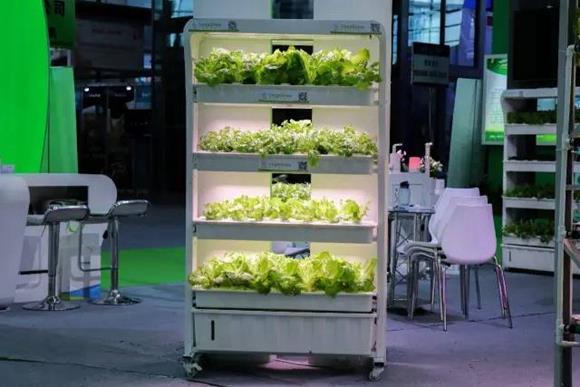 2017041909475348127_sdk.jpg 2017041909475348127_sdk.jpg