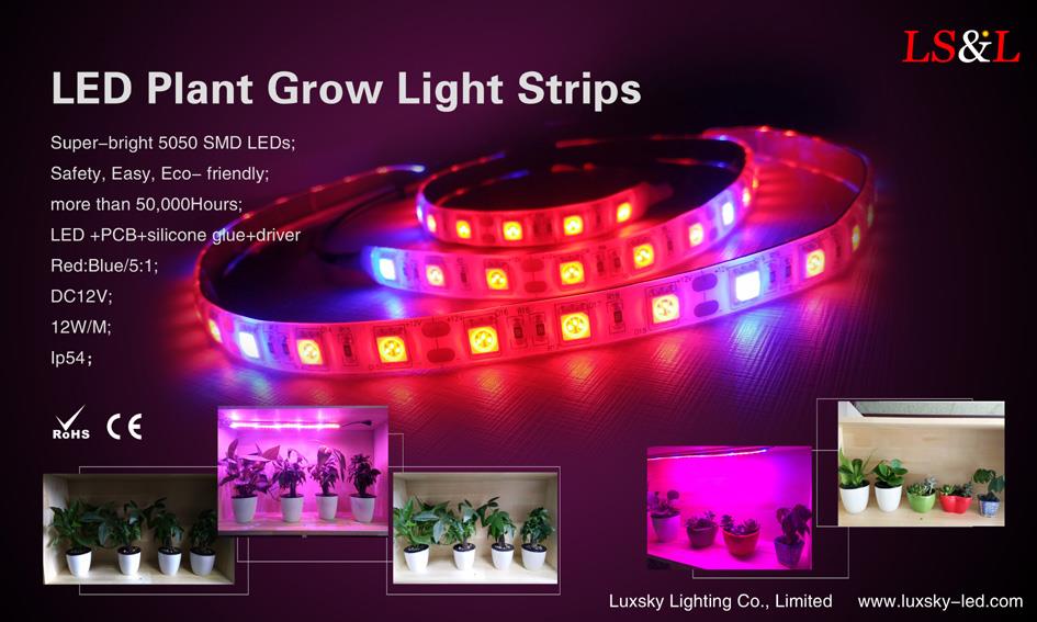 LED växer växtljus .jpg LED grow plant lights .jpg