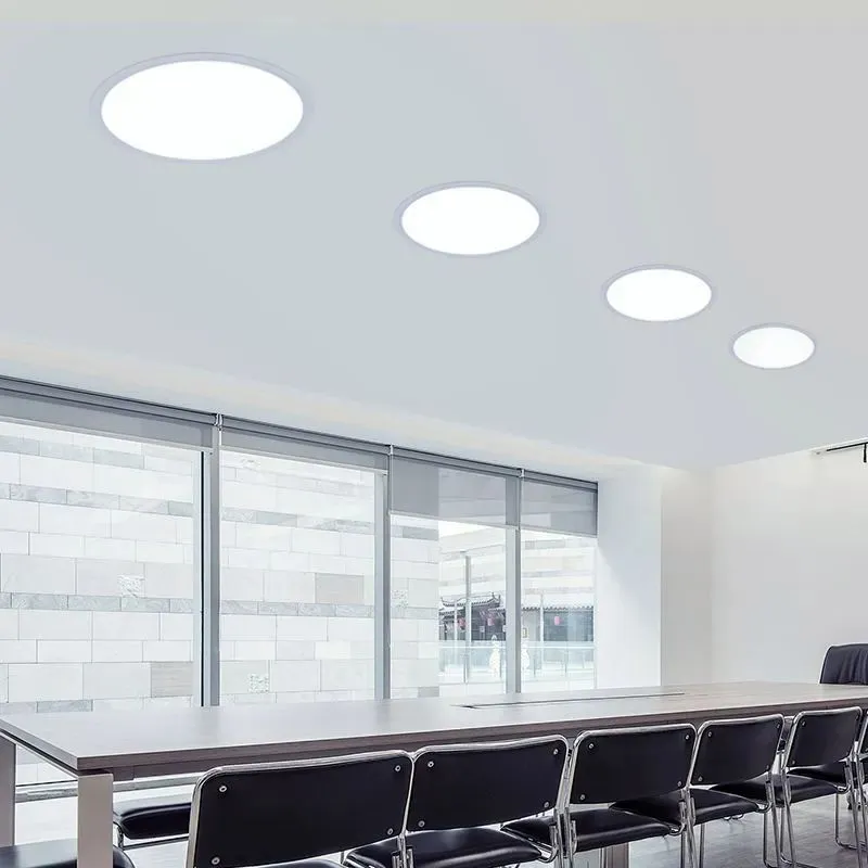 20230425638180335518780531 20230425638180335518780531